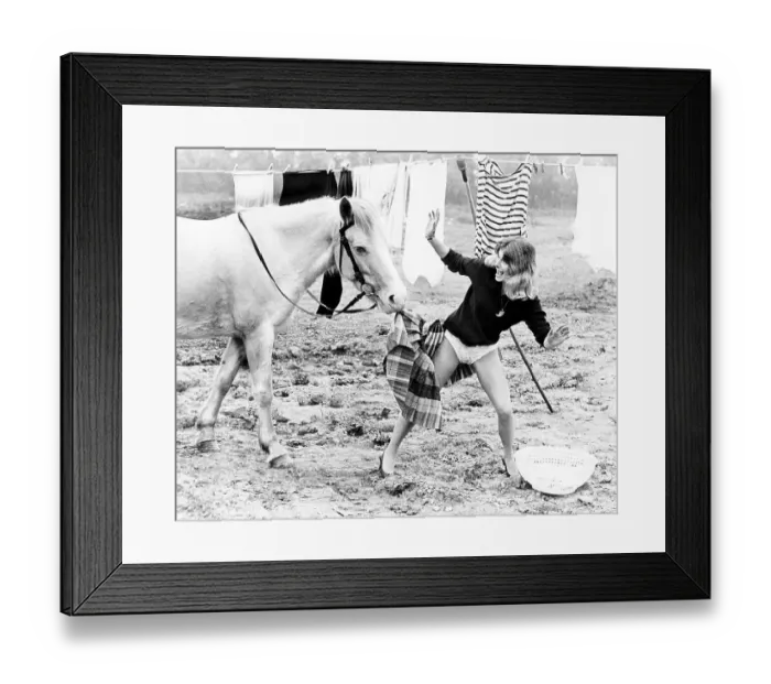 Framed Print : Horse tears down his skirt, England, Great Britain