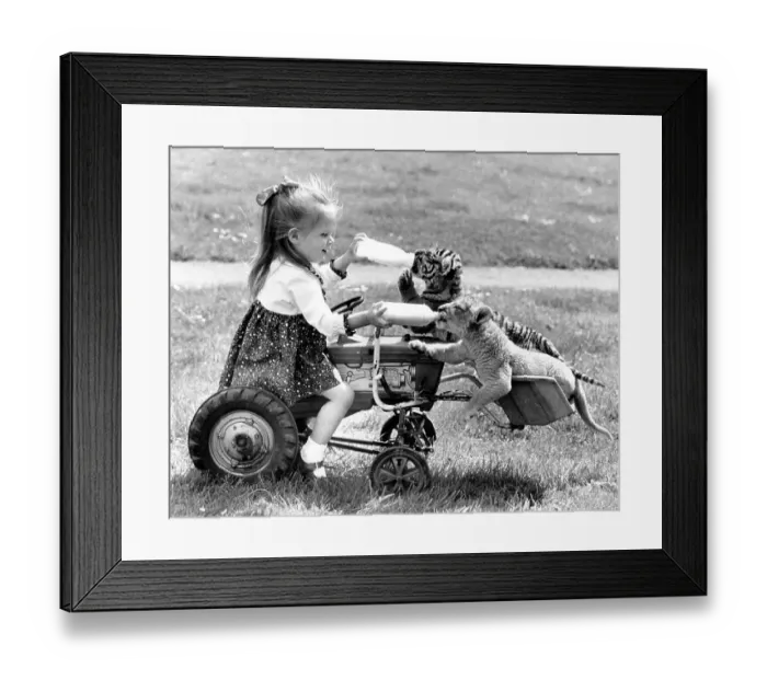 Framed Print : Girl feeding a tiger and a lion baby