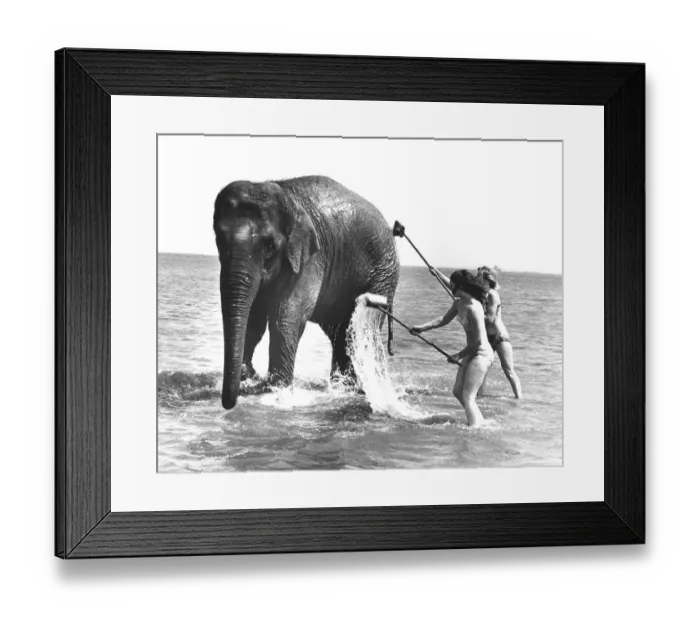 Framed Print : Two women wash an elephant in the sea Framed Print : Two women wash an elephant in the sea
