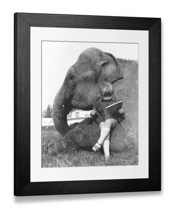Framed Print : Girl sits on elephant and reads