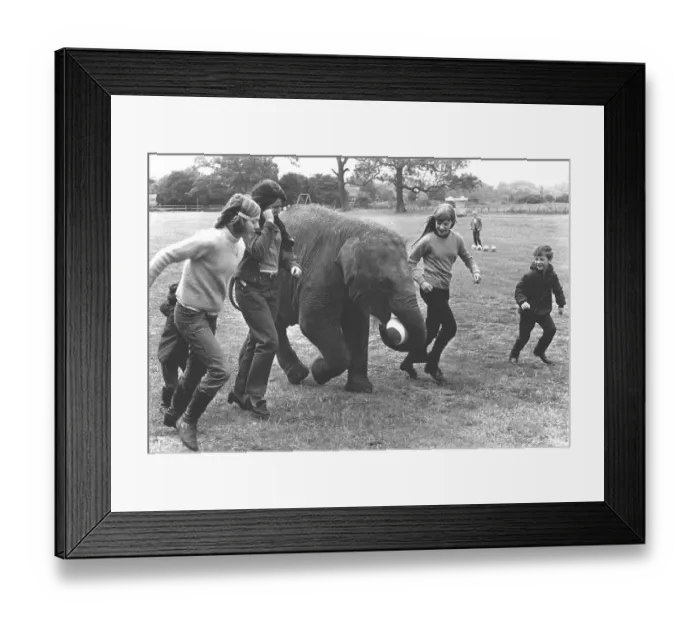 Framed Print : Children play with an elephant ball Framed Print : Children play with an elephant ball