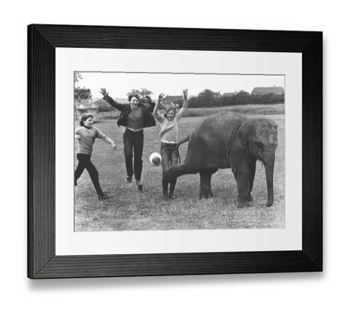 Framed Print : Children play with an elephant ball Framed Print : Children play with an elephant ball