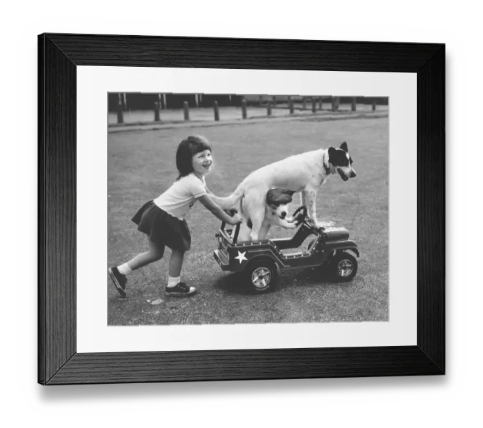 Framed Print : Girl pushes carriage with two dogs