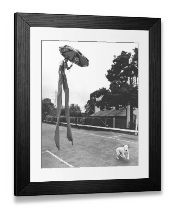 Framed Print : Man on stilts with dog, England, Great Britain