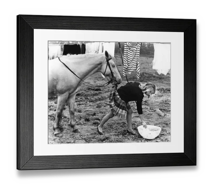 Framed Print : Horse bites into a woman's skirt