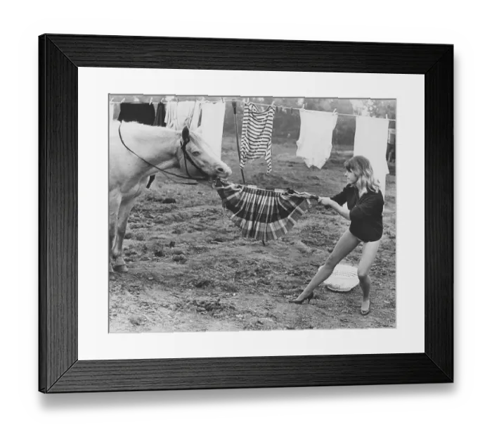 Framed Print : Horse steals skirt, England, Great Britain