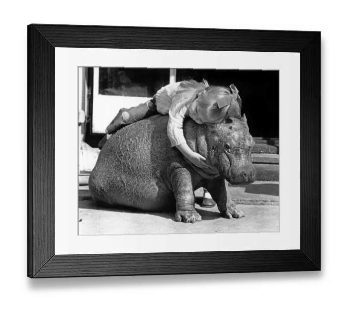 Framed Print : Girl sleeps on dwarf hippopotamus Framed Print : Girl sleeps on dwarf hippopotamus