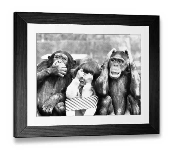 Framed Print : Two monkeys with child, see nothing