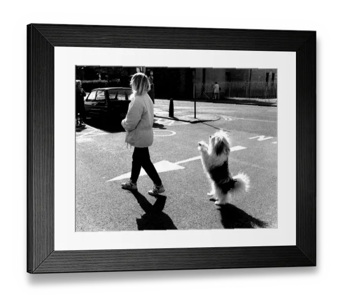 Framed Print : Dog with woman in parking lot, England Framed Print : Dog with woman in parking lot, England