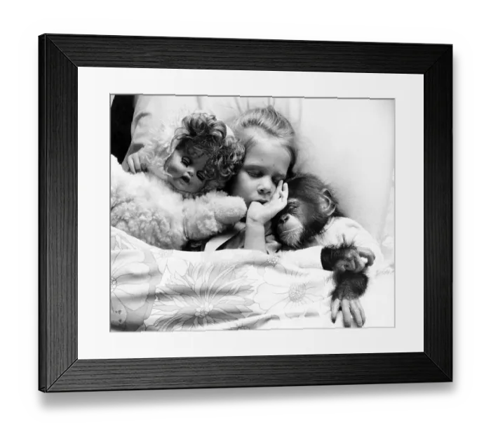 Framed Print : Girl in bed with chimpanzees and dolls