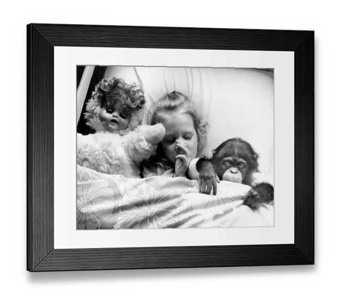 Framed Print : Girl in bed with chimpanzees and dolls Framed Print : Girl in bed with chimpanzees and dolls