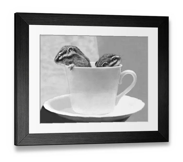Framed Print : Two chipmunks sitting in a cup Framed Print : Two chipmunks sitting in a cup