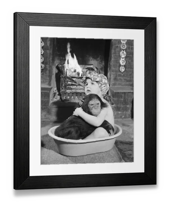 Framed Print : Chimpanzee bathes with girl, England