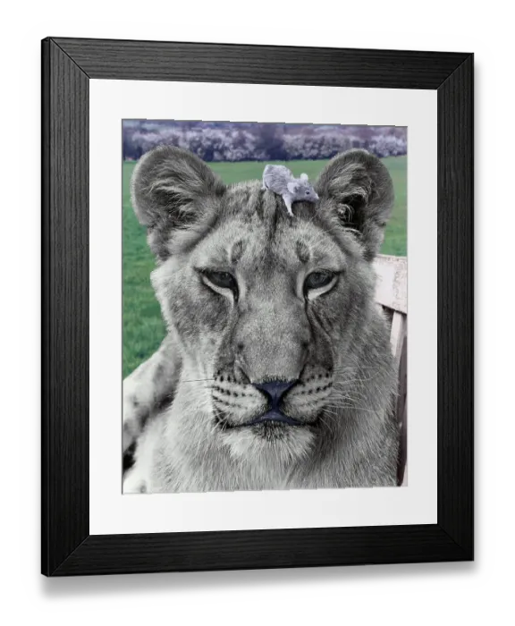 Framed Print : Lion with mouse on his head, England