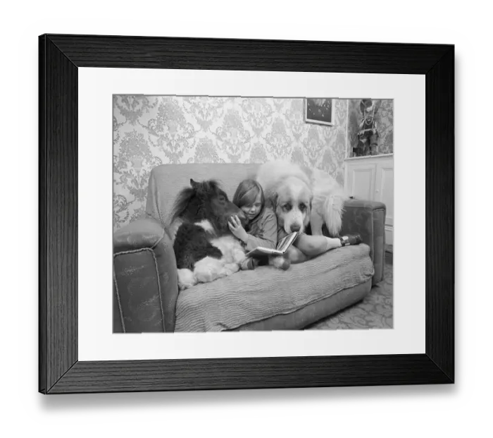 Framed Print : Girl sits with a donkey and a dog on the sofa and reads Framed Print : Girl sits with a donkey and a dog on the sofa and reads
