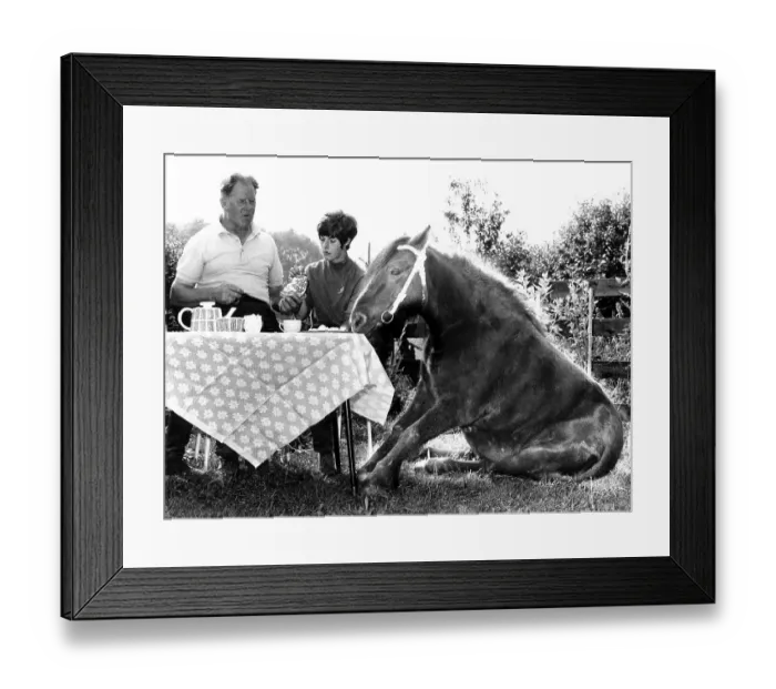 Framed Print : Horse sits with family at set table Framed Print : Horse sits with family at set table