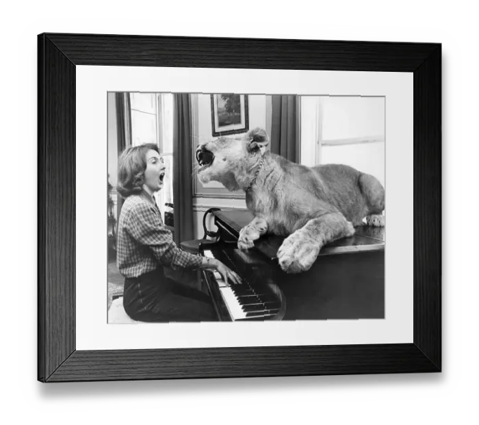 Framed Print : Loewe sits on a piano and sings together with the piano player