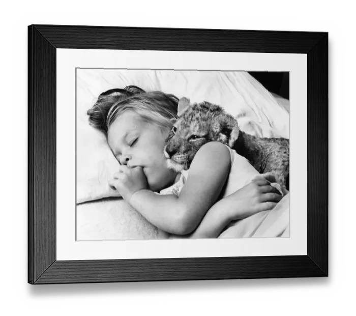Framed Print : Little girl cuddling in bed with baby lion while sleeping Framed Print : Little girl cuddling in bed with baby lion while sleeping