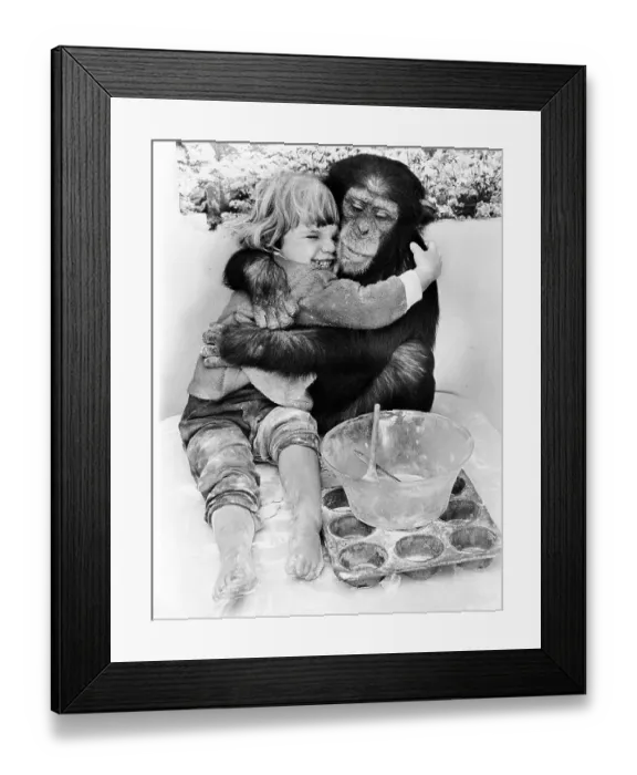 Framed Print : Chimpanzee hugs little girl, big friends