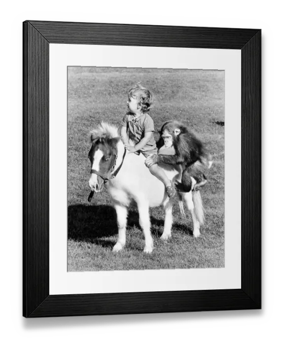 Framed Print : Child and chimpanzee ride on a pony