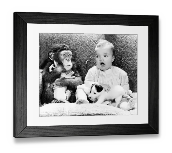 Framed Print : Baby with chimpanzee and little Jack Russell Terrier Framed Print : Baby with chimpanzee and little Jack Russell Terrier