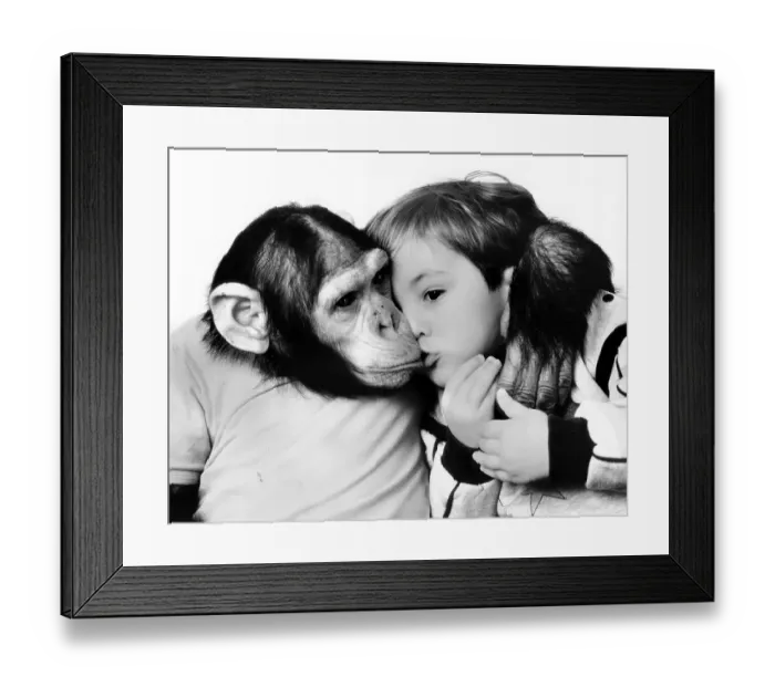 Framed Print : Chimpanzee kisses and hugs little boy