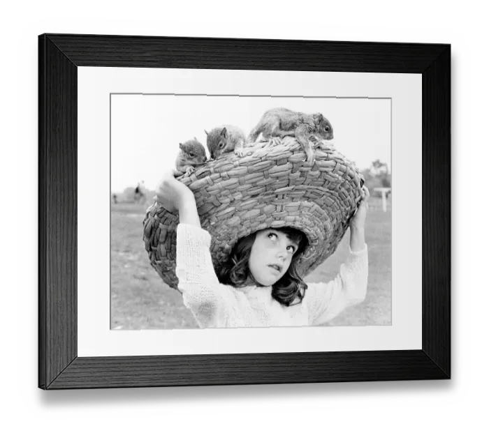 Framed Print : Chipmunks sitting on a girl's straw hat