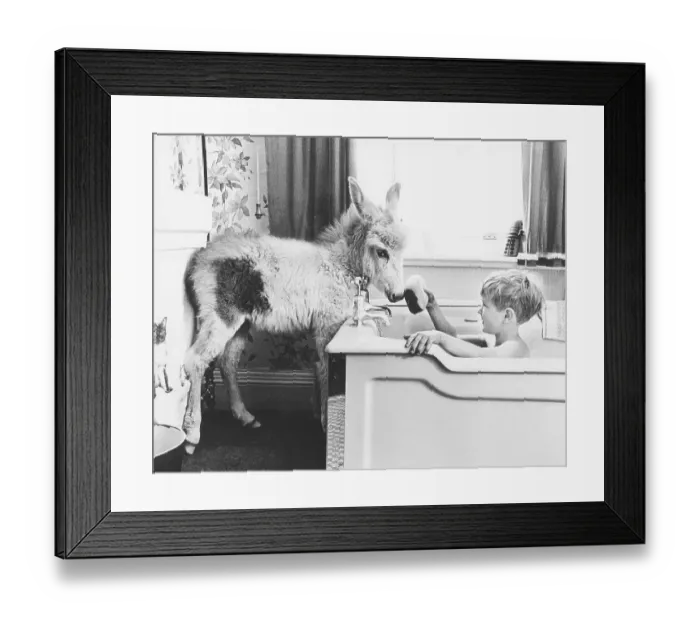 Framed Print : Child baths in bath tub with donkey standing in the bathroom