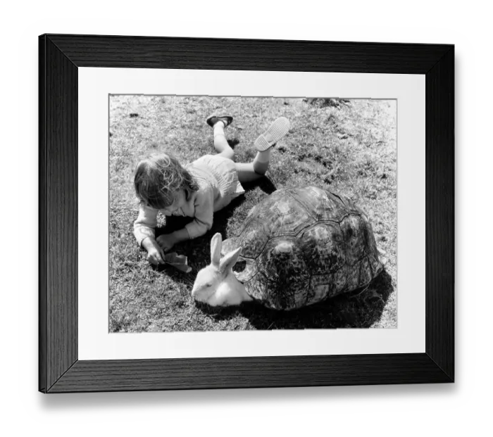 Framed Print : Girl and a bunny playing with a turtle shell Framed Print : Girl and a bunny playing with a turtle shell