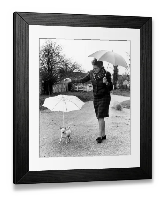 Framed Print : Woman goes for a walk with her puppy Framed Print : Woman goes for a walk with her puppy