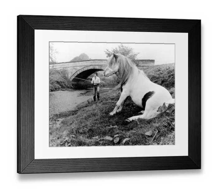 Framed Print : Horse and angler on shore, England, Great Britain Framed Print : Horse and angler on shore, England, Great Britain