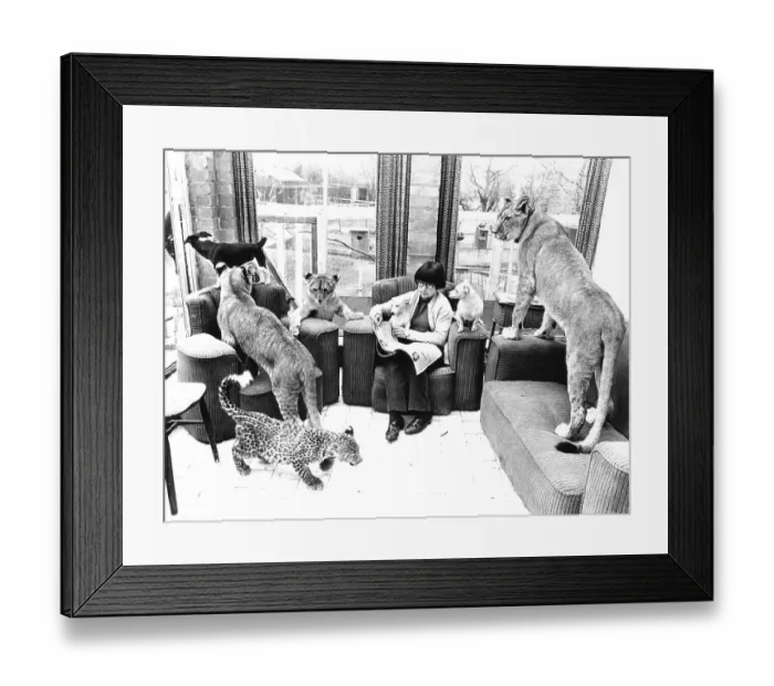 Framed Print : Woman and predators in the living room Framed Print : Woman and predators in the living room