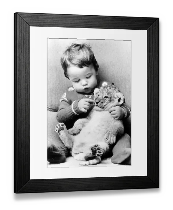 Framed Print : Toddler cuddles with baby lion