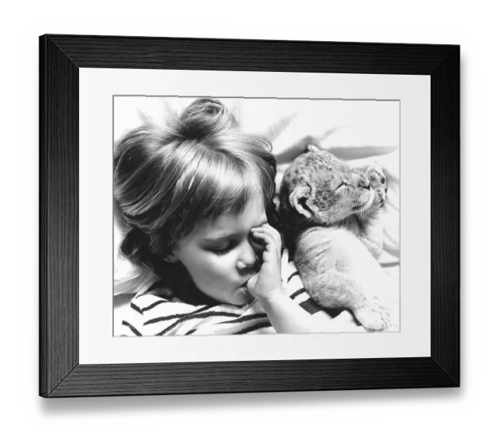 Framed Print : Girl and baby lion sleeping, England Framed Print : Girl and baby lion sleeping, England