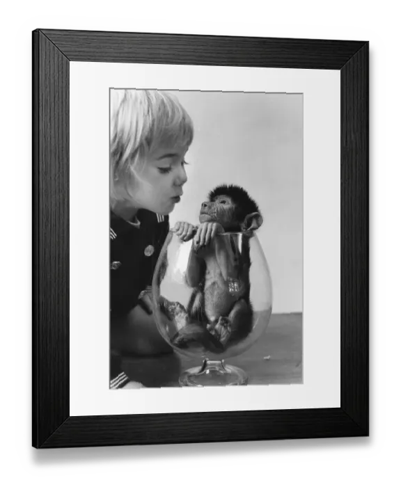 Framed Print : Girl watching a small monkey in a glass Framed Print : Girl watching a small monkey in a glass