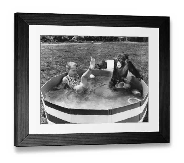 Framed Print : Girl and chimpanzee in paddling pool