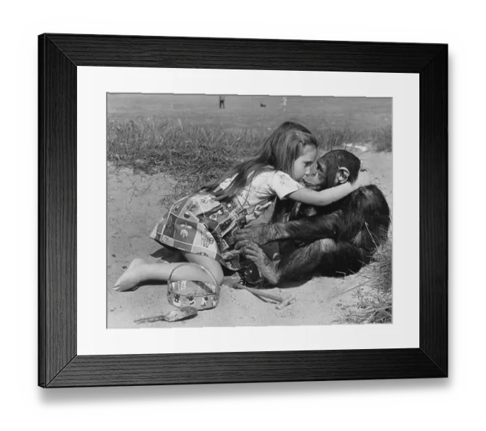 Framed Print : Girl kisses chimpanzee on the beach Framed Print : Girl kisses chimpanzee on the beach