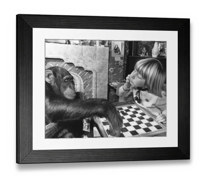 Framed Print : Girl and chimpanzee playing the mill game Framed Print : Girl and chimpanzee playing the mill game