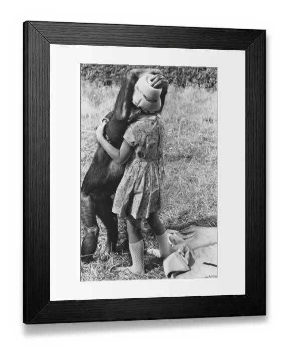 Framed Print : Girl and chimpanzee kissing in the meadow Framed Print : Girl and chimpanzee kissing in the meadow