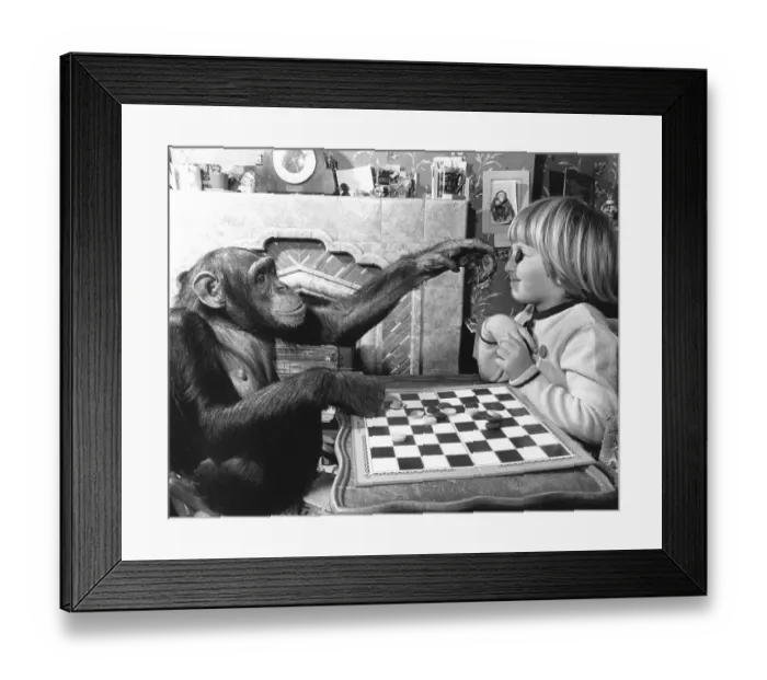 Framed Print : Girl and chimpanzee play the mill Framed Print : Girl and chimpanzee play the mill