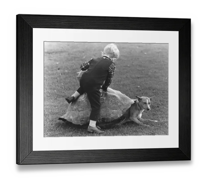 Framed Print : Child and a dog playing with a turtle shell Framed Print : Child and a dog playing with a turtle shell