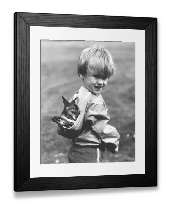 Framed Print : Boy wears small Kanguru in hood Framed Print : Boy wears small Kanguru in hood