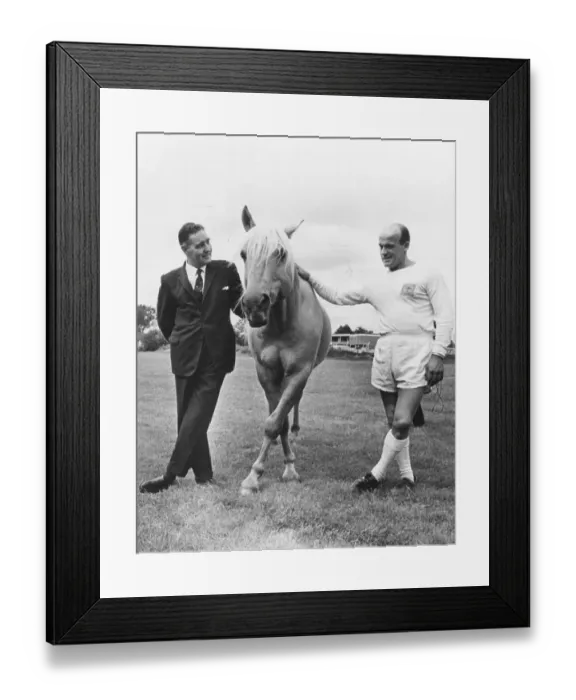 Framed Print : Horse on football field, England, Great Britain