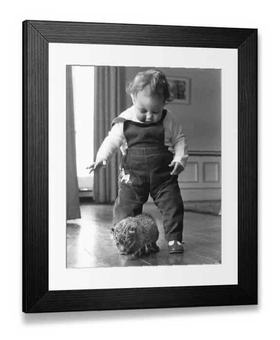 Framed Print : Little boy playing with baby predator