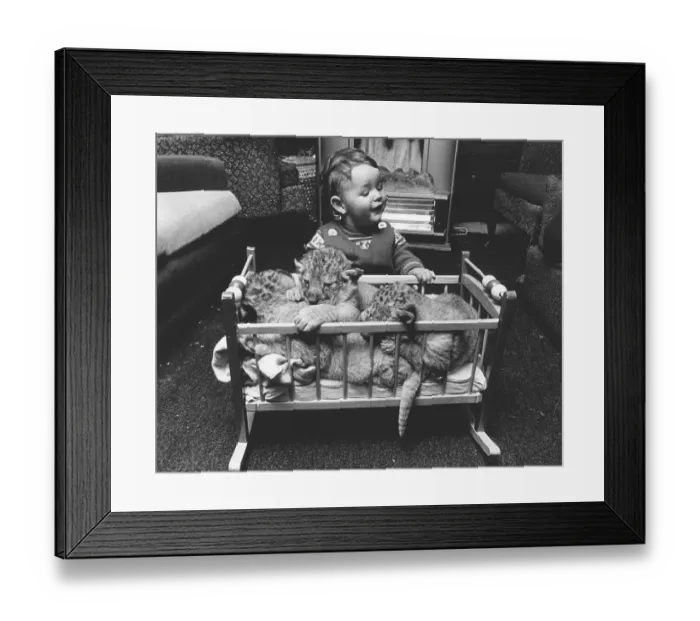 Framed Print : Baby predators in a crib, England, Great Britain