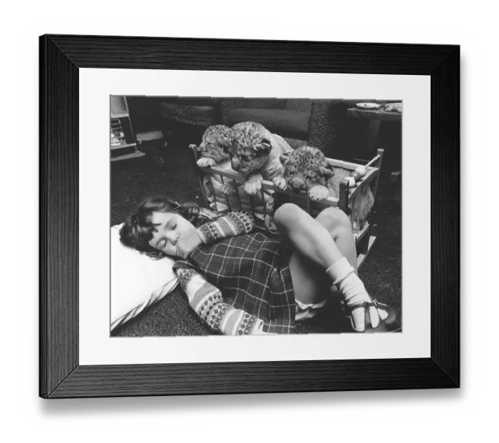Framed Print : Girl sleeping next to baby predators Framed Print : Girl sleeping next to baby predators
