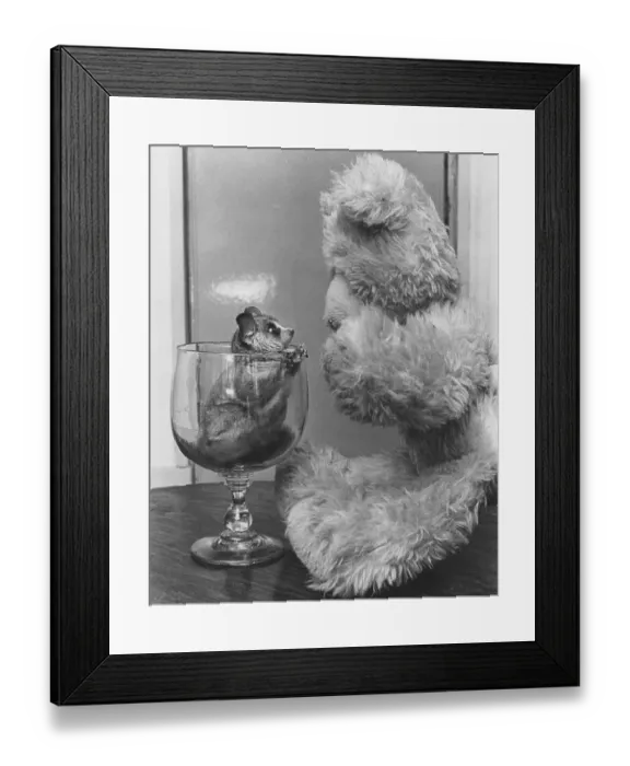 Framed Print : Rodent sits in a glass and looks at a stuffed animal Framed Print : Rodent sits in a glass and looks at a stuffed animal