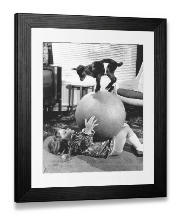 Framed Print : Child playing with a big ball with a little goat standing on it