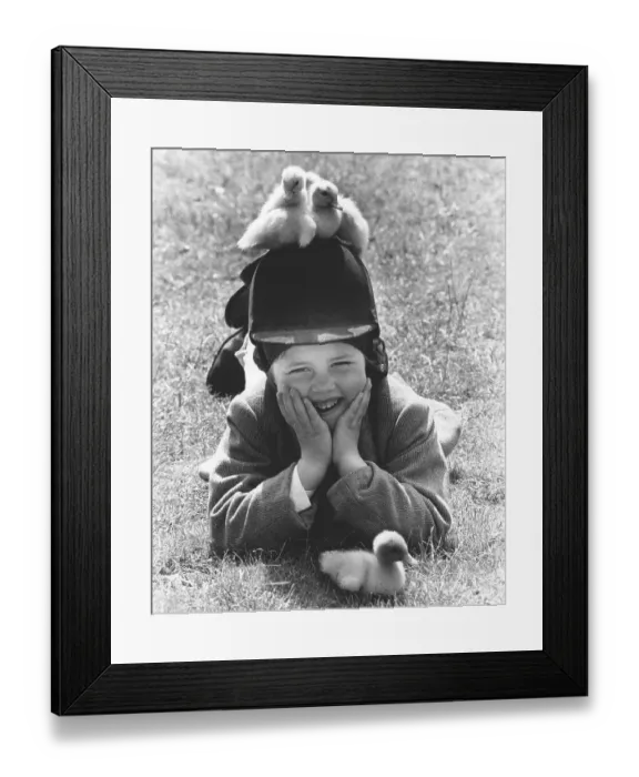 Framed Print : Small ducks are sitting on the riding helmet of a boy Framed Print : Small ducks are sitting on the riding helmet of a boy