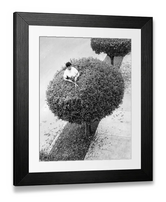 Framed Print : Man Cuts Tree, Mexico City, Mexico